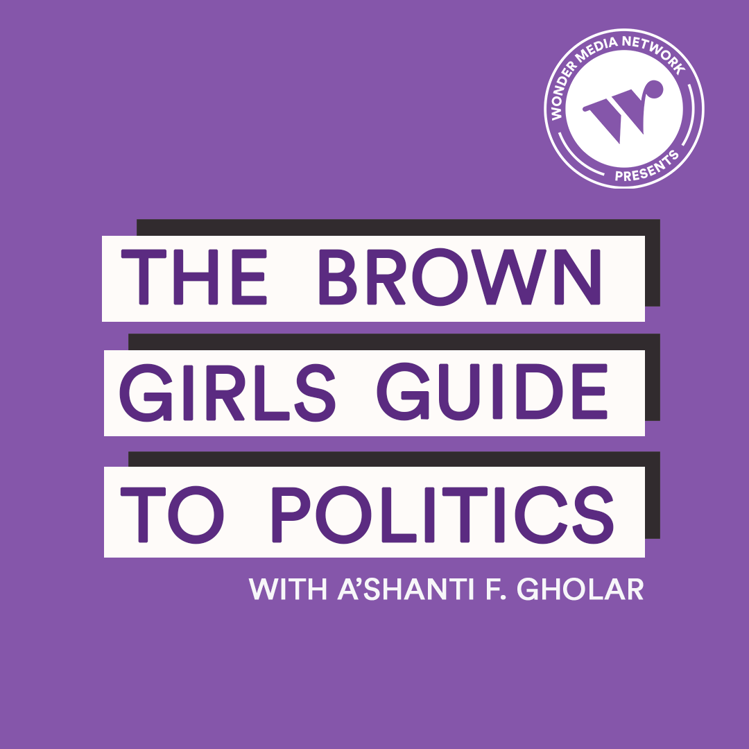 The Brown Girls Guide to Politics